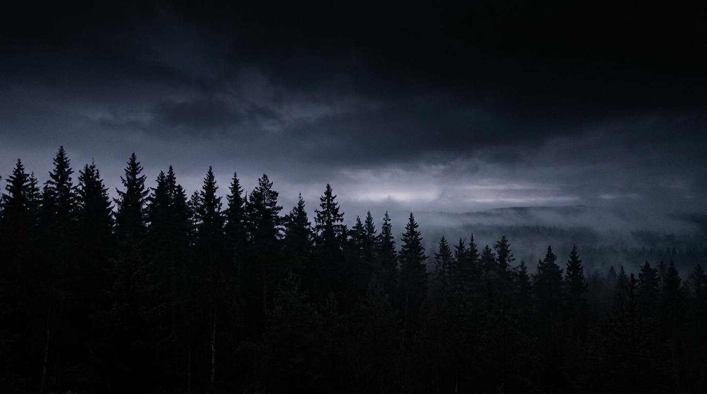 Pine trees silhouette horizon at night